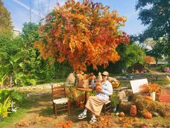 -HERRE·FARM 赫尔露营农场·团建聚会包场