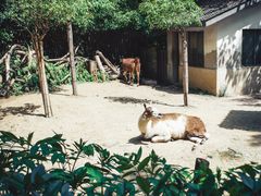 -杭州动物园