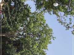 -青岛德国总督楼旧址博物馆