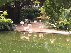 -九龙公园