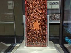-仪征博物馆