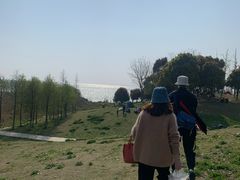 -滆湖低碳生态公园