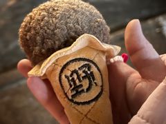 -野人先生现做冰淇淋(北京顺义祥云小镇店)