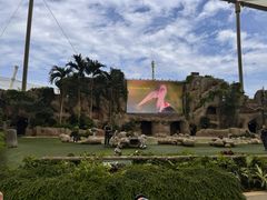 -新加坡飞禽公园