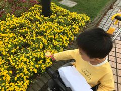 -豆初托育园 Baby Bean Day care Center