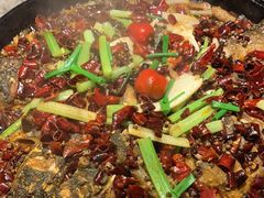 -老板恋上鱼(恒隆广场店)