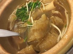-大中鱼翅 Taitong Shark Fin