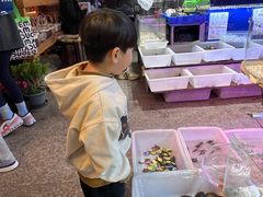 -双季花艺园艺市场(浦东店)