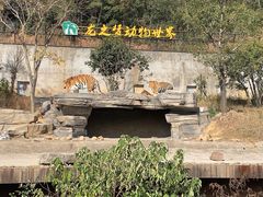 -太湖龙之梦