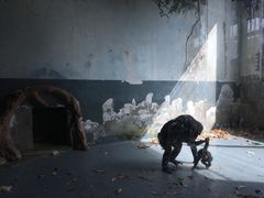 -无锡动物园·太湖欢乐园