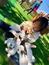 -萌宠亲子动物乐园(槐房万达店)