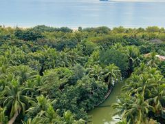 -三亚湾海居铂尔曼度假酒店