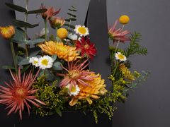 -荷兰布尔玛国际花艺学院