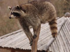 -济南野生动物世界