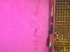 -不可思议减压馆·解压博物馆·摔碗发泄·团建定制