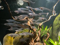 -太平洋海底世界