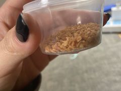 -椰不二(江北大洋百货店)