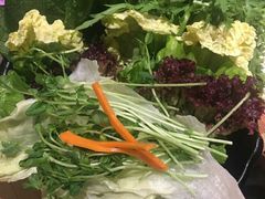 -手选潮汕鲜活牛肉火锅(二七广场店)