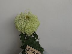 -杭州植物园