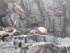 -珠海长隆海洋王国