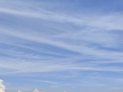 -长洲岛