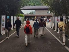 -都江堰中华大熊猫苑