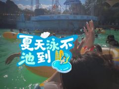 -白鹿温泉加勒比水上乐园