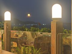 -渔家火锅·海鲜自助餐·演艺(亚龙湾天域酒店)