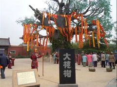 -大槐树寻根祭祖园