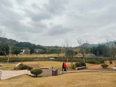 -牛岗山公园