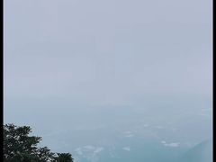 -银瓶嘴森林公园