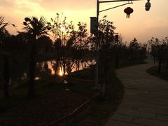 -瑶湖郊野森林公园