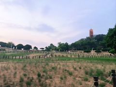 -红花山公园