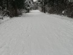 -武陵山森林公园