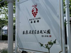 -白鹿原葡萄主题公园