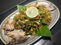 -Ameigo梅果·云贵川bistro(长宁来福士店)