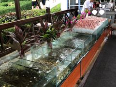 -渔家火锅·海鲜自助餐·演艺(亚龙湾天域酒店)