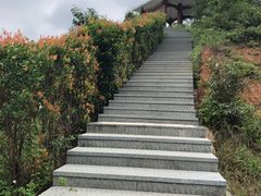 -田心森林公园