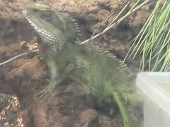 -合肥野生动物园