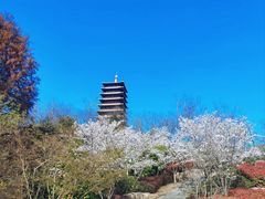 -牛首山文化旅游区