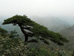 -三清山风景名胜区