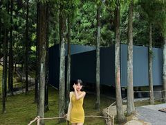 -玉苍山国家森林公园