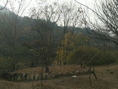 -黄陂区野村谷景区