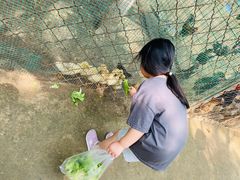 -草根堂农场