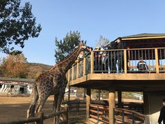 -大连森林动物园