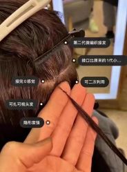 -YESIDO椰岛造型
