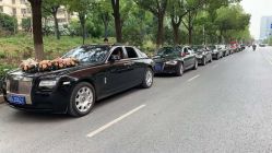 -蚂蚁婚车