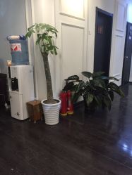 -Tipo Hair salon（明星）店