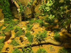 -酷嗒动物文化乐园(cutezoo西溪乐天城店)