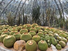 -深圳仙湖植物园